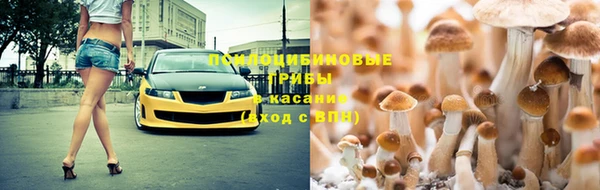 каннабис Аркадак