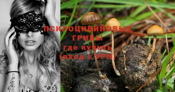 марки nbome Армянск