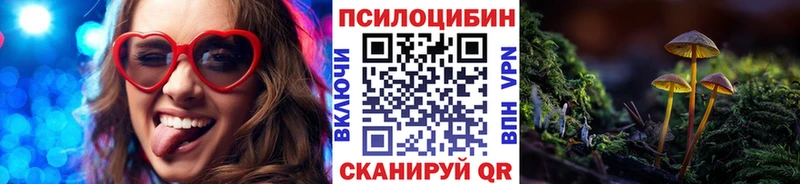 Галлюциногенные грибы MAGIC MUSHROOMS  купить закладку  Кубинка 