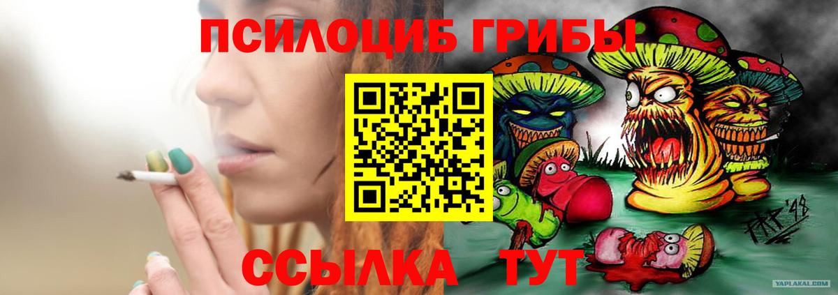 Кубинка  Галлюциногенные грибы Psilocybine cubensis  Вход с VPN  Галлюциногенные грибы GOLDEN TEACHER 